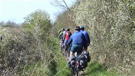 Exploring the tracks near Burrowbridge